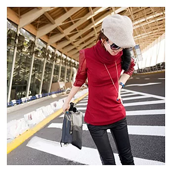 EOWYN。貉毛裝飾網紗拼皮修身款高領T恤(預購)單一色M