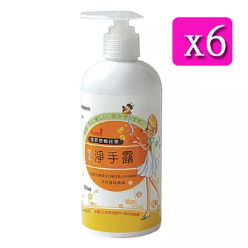 QLady橙淨佳人酵素淨手露6瓶入