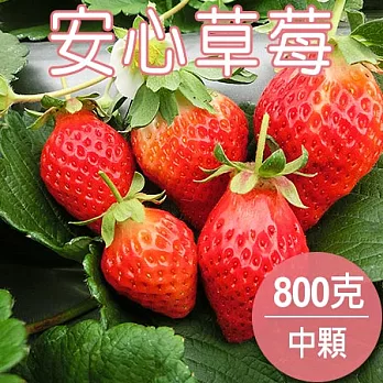 【農夫家】苗栗大湖★安心草莓★果肉紮實/香氣濃厚《中顆》