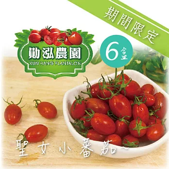 《勛泓農園》嘉義太保 - 聖女小番茄 (500g/盒，共6盒)