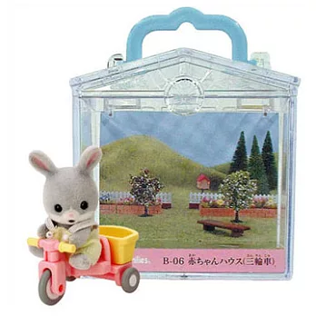 《EPOCH》嬰兒三輪車提盒