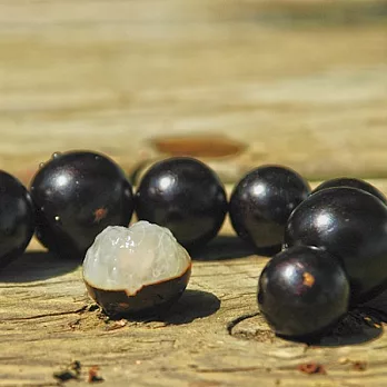 [台灣好農]有機嘉寶果