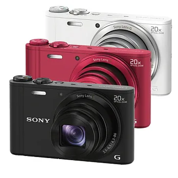 SONY WX300 超廣角10倍光學變焦鏡頭數位相機(中文平輸) - 加送SD16G+專用鋰電池+防潑水相機包+桌上型小腳架+多功能讀卡機相機清潔組+硬式保護貼白色