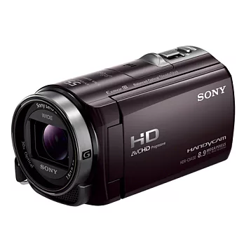 SONY CX430V 32G FullHD數位攝影機(中文平輸) - 加送SD32GB+專用鋰電池+防潑水相機包-桌上型小腳架+多功能讀卡機+相機清潔組+硬式保護貼古銅黑