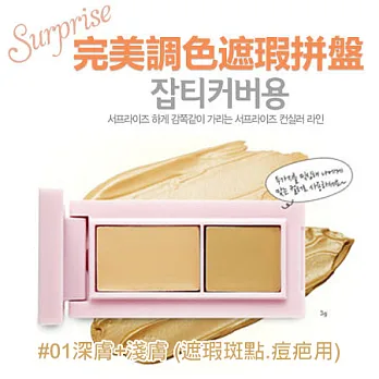 ETUDE HOUSE 完美調色遮瑕拼盤 8g (兩款供選)#1 深膚+淺膚 (