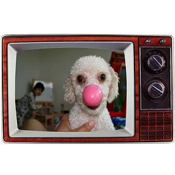 《KIKKERLAND》TV 偽電視4x6相框(深咖)