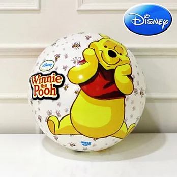 【Disney 正版授權】迪士尼 9吋 夢夢球-維尼系列