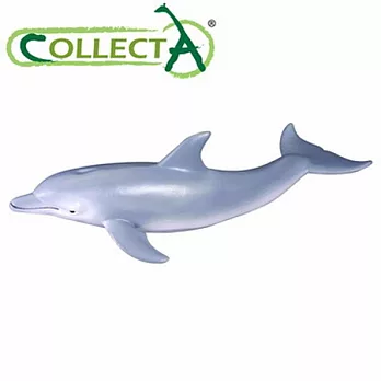 【CollectA】海洋系列 - 瓶頸海豚