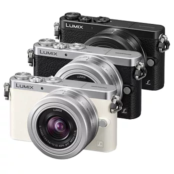 Panasonic GM1+12-32mm單鏡組*(中文平輸)-加送SD16G+相機清潔組+硬式保護貼銀色
