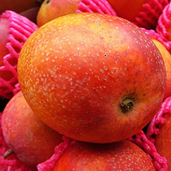 【阿宸芒果園】屏東枋山愛文芒果(5斤裝 約8-12顆/箱)