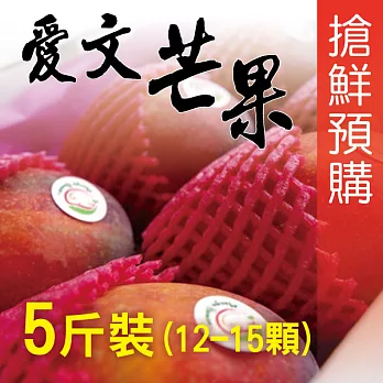 屏東枋山 愛文芒果 5斤(約12~15顆)X2箱 每顆約200g 搶鮮預購