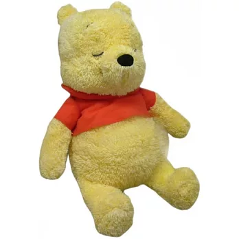 迪士尼幼兒 維尼睡睡抱偶