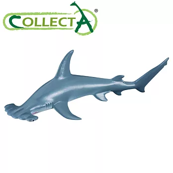 【CollectA】海洋系列 - 鎚頭鯊