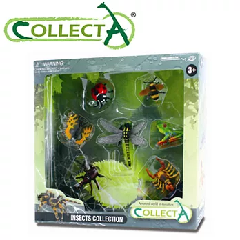 【CollectA】昆蟲禮盒組(7pcs)