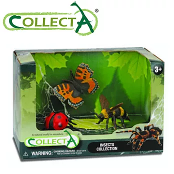【CollectA】昆蟲組3pcs(892696)
