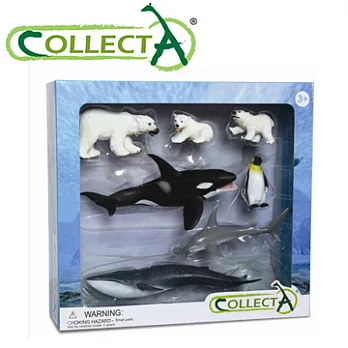 【CollectA】海洋動物禮盒組(7入)