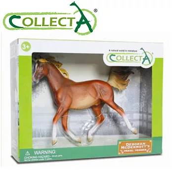 【CollectA】阿拉伯公馬-板栗色