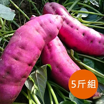 【食在安市集】春之谷：有機轉型期栗子地瓜5斤-預購