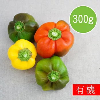 【陽光市集】花蓮好物-有機彩色甜椒(300g)