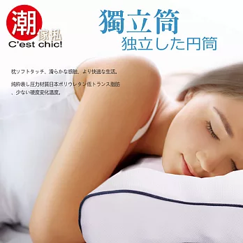 【潮傢俬】-外銷日本獨立筒高低兩用枕
