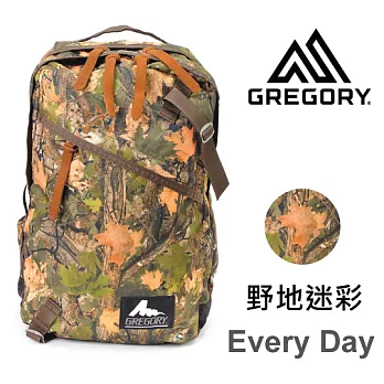 【美國Gregory】Every Day日系休閒後背包21L-野地迷彩