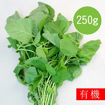 【陽光市集】花蓮好物-有機白莧菜(250g)
