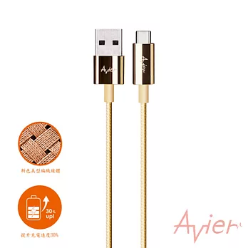 Avier Line Pro - C Type(USB C Type to A)極速鋅合金編織傳輸充電線土豪金