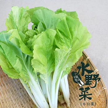 【陽光市集】水野菜-小白菜(250g)★無毒水耕蔬菜★
