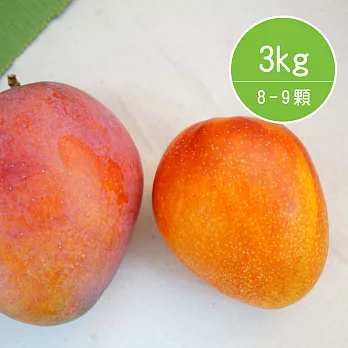 【陽光市集】枋山愛文芒果-友善種植A級禮盒(3kg/8-9粒)