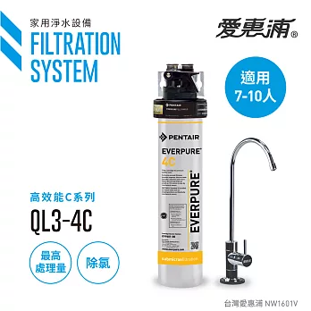 【愛惠浦公司貨】EVERPURE 標準長效型淨水器(QL3-4C)