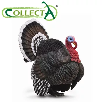 【CollectA】火雞