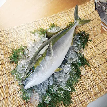《好神》日本生凍冷凍青干魚3尾組(400-600g/尾)