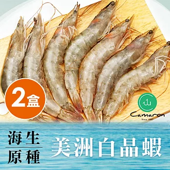 【食在安市集】海水養殖 • 卡馬龍美洲特選白晶蝦2盒特惠組(每盒1公斤，約30-40隻)(低溫免運宅配)