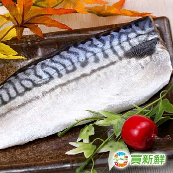【買新鮮】頂級挪威鯖魚180g±10%X20片(免運)