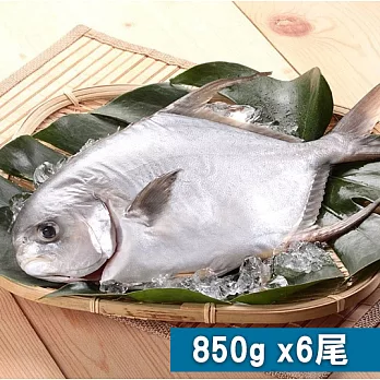 【食在安市集】恆春海洋：海金鯧6尾組(850g/尾)