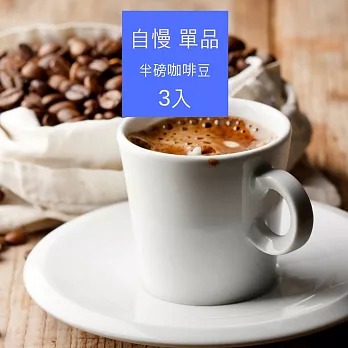 【大隱珈琲】單品咖啡豆 - 半磅裝3入