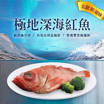 【優鮮配】極地深海紅魚(700g/尾)-任選