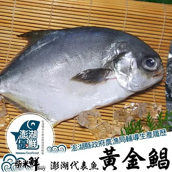 ★澎湖優鮮認證★【柴米鮮bUY】特級嚴選黃金鯧2尾(250-350g/尾)