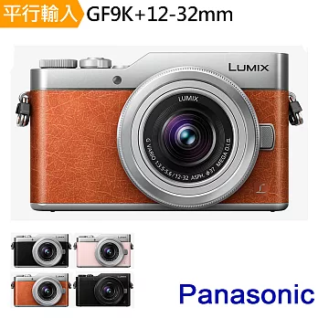 Panasonic DMC GF9K+12-32mm 單鏡組*(中文平輸)-送單眼相機包+強力大吹球清潔組+硬式保護貼銀色