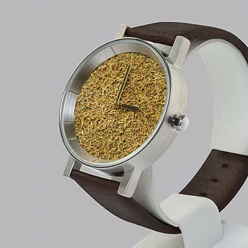 FORREST 綠草系列 個性時尚設計感手錶-銀色錶框棕色皮革35mm