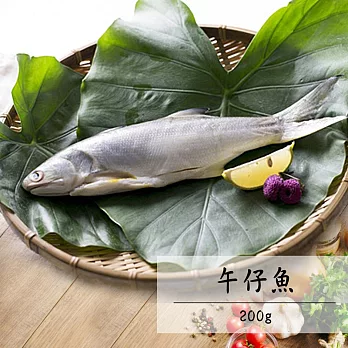 【安心溯源】午仔魚(200g/尾)X3尾