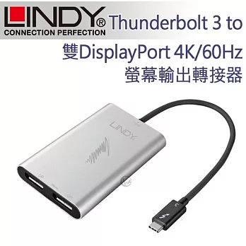 LINDY 林帝 Thunderbolt 3 to 雙DisplayPort 4K/60Hz螢幕輸出轉接器 (43901)