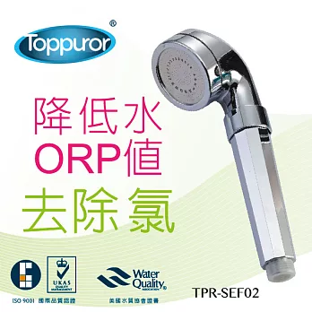 【泰浦樂 Toppuror】能量沐浴器 TPR-SEF02無不鏽鋼