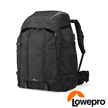 LOWEPRO 專業旅行家Pro Trekker 650 AW 專業相機包(台閔公司貨)