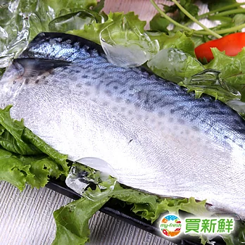 【買新鮮】省產鯖魚一夜干(130±10%/片)