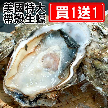 買1送1組【優鮮配】美國特大帶殼生蠔1顆(250-350g/顆)-任選