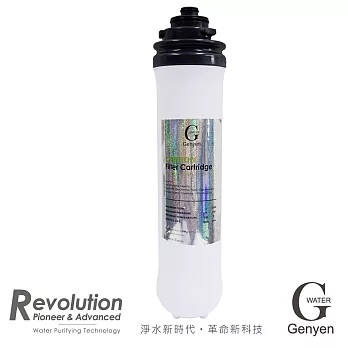 G Water NANO X-PLUS食品級竹炭活性碳濾芯 (GT-NT33)