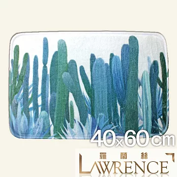 【羅蘭絲相框】仙人掌柔毛印花止滑地墊 浴室墊 腳踏墊 防滑地墊(40x60cm)