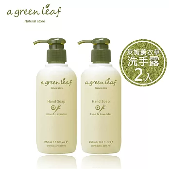 【a Green Leaf一片綠葉】萊姆薰衣草洗手露250ml 2入