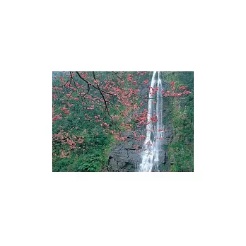 熱門旅遊書籍推薦一個人．環島．趣網路買書